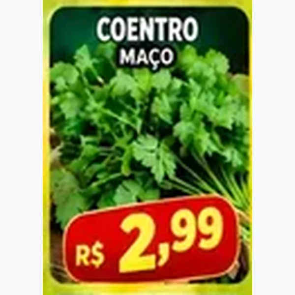 Coentro