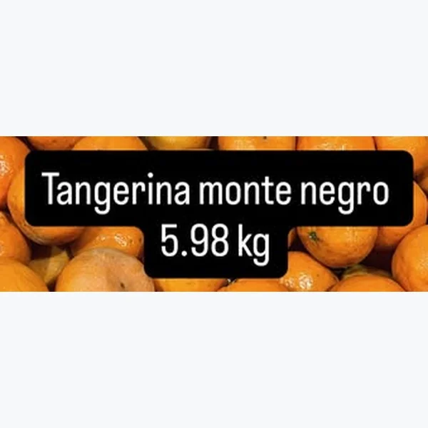Recorte do encarte de Tangerina Monte Negro