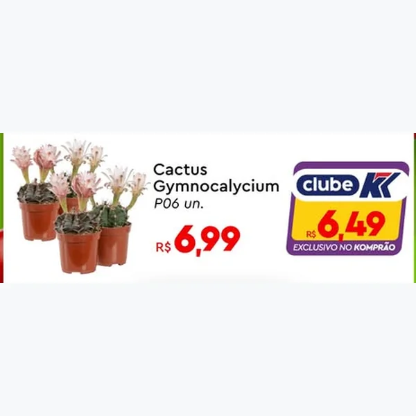 Recorte do encarte de Cactus Gymnocalycium 6 un