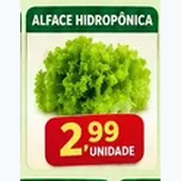 Alface Hidropônica
