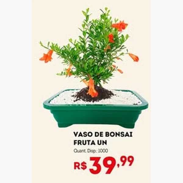Recorte do encarte de Bonsai Fruta