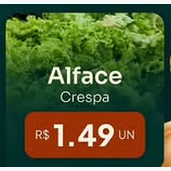 Alface Crespa