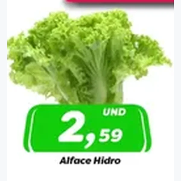 Alface Hidro