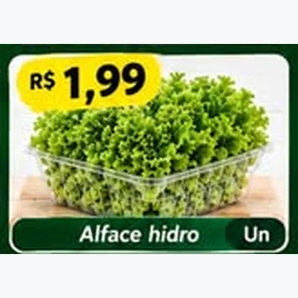 Alface Hidro