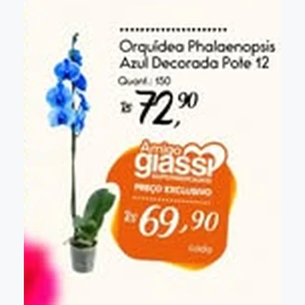 Recorte do encarte de Orquídea Phalaenopsis Azul Decorada 12 un