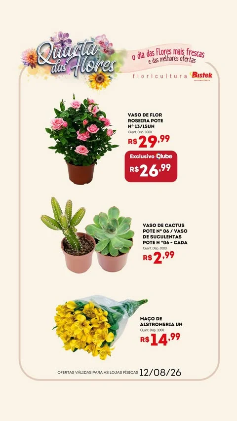 Encarte Bistek Supermercados
