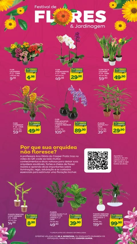 Encarte Cooper Super