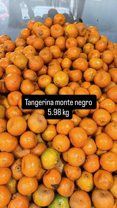 Encarte Frutaria Rincão