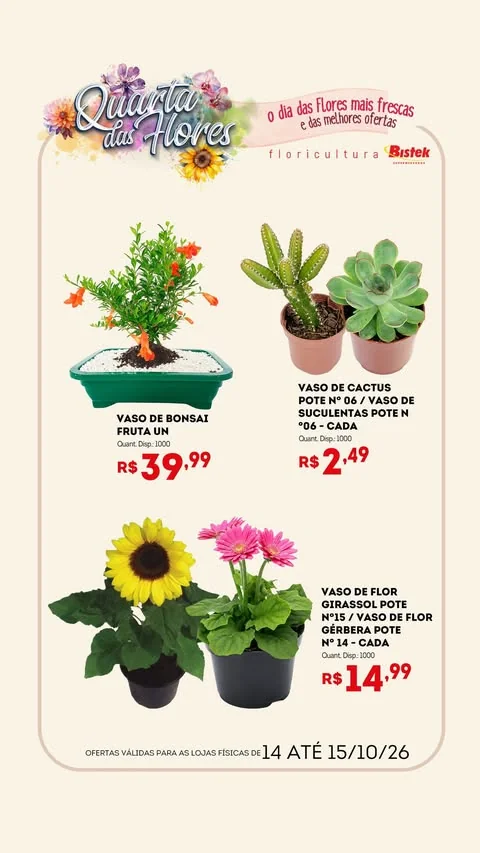 Encarte Bistek Supermercados