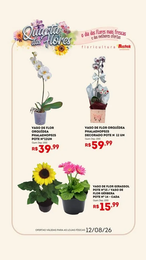 Encarte Bistek Supermercados
