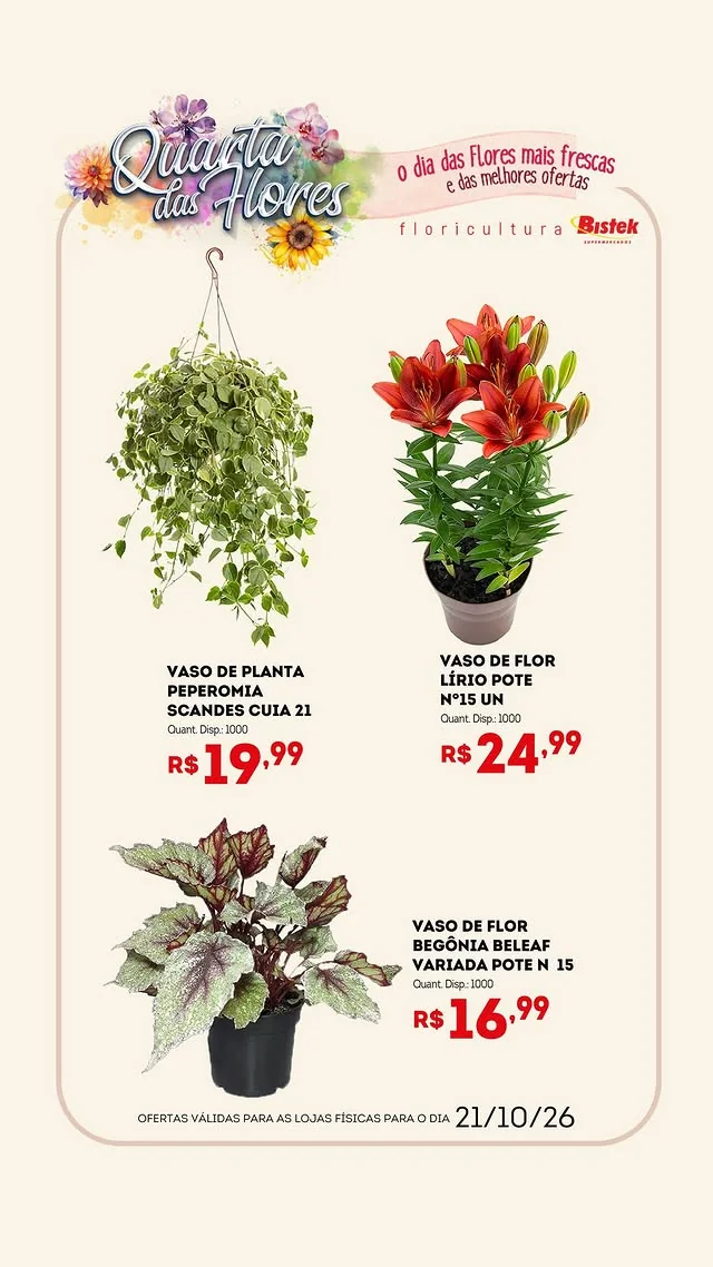 Encarte Bistek Supermercados