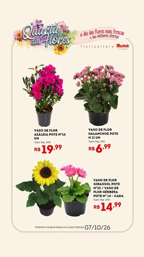 Encarte Bistek Supermercados