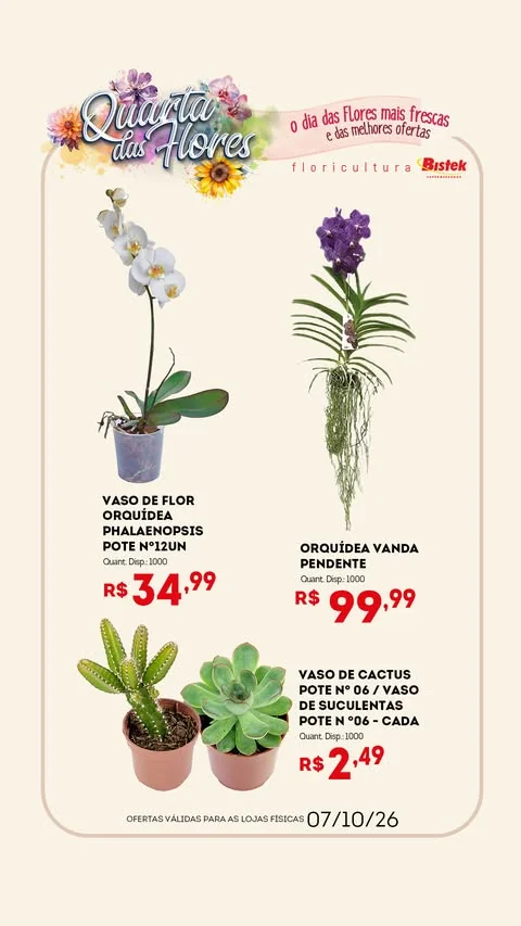 Encarte Bistek Supermercados