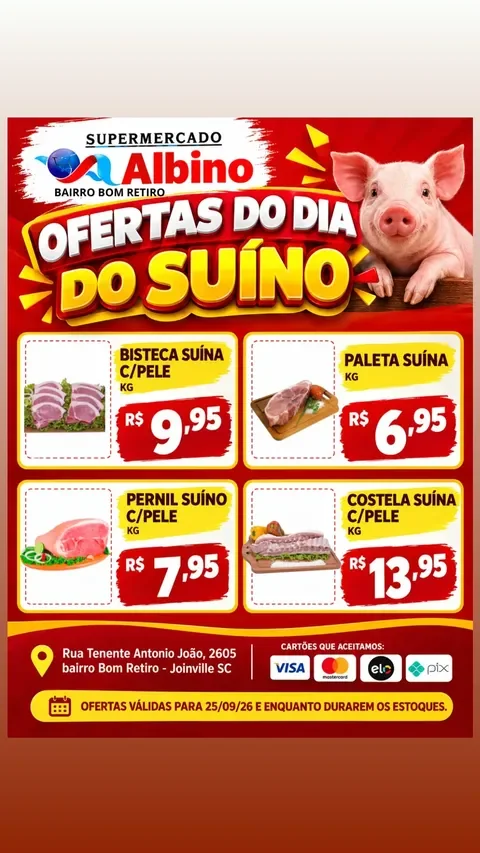 Encarte Supermercado Albino