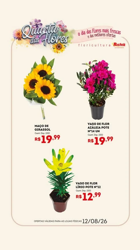 Encarte Bistek Supermercados