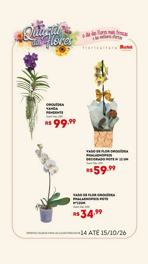 Encarte Bistek Supermercados