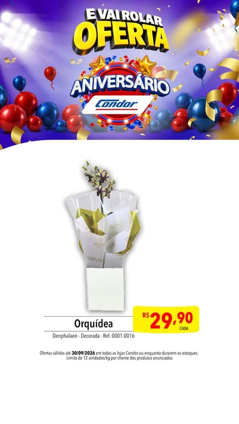 Encarte Rede Condor