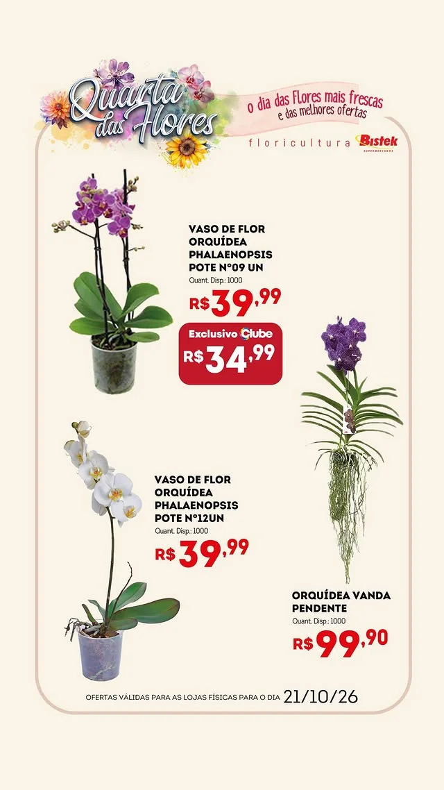 Encarte Bistek Supermercados