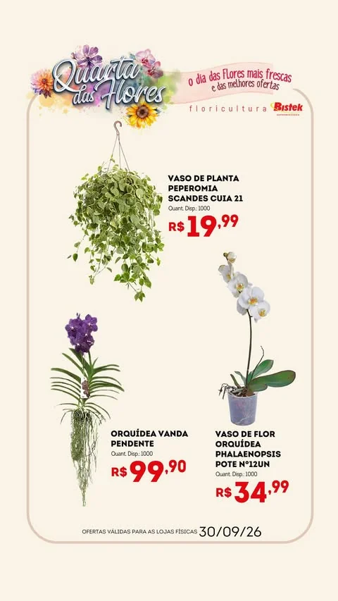 Encarte Bistek Supermercados