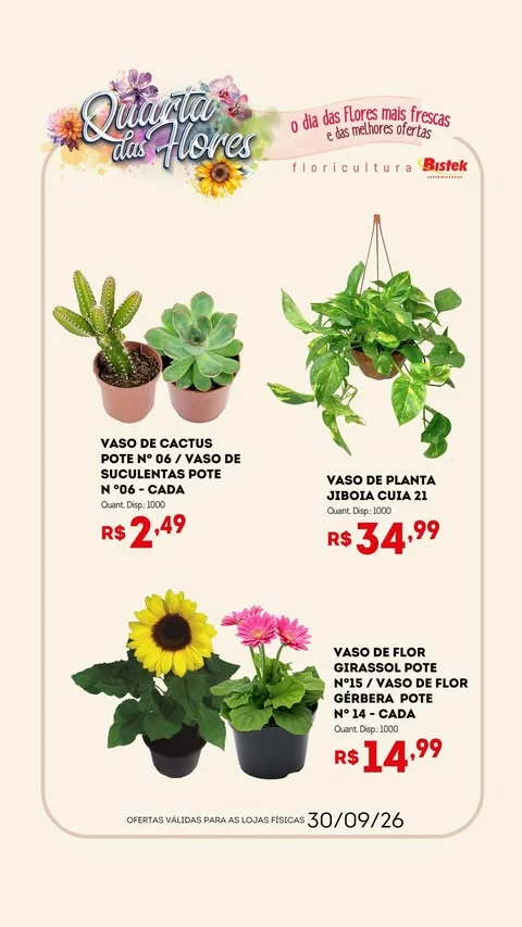 Encarte Bistek Supermercados